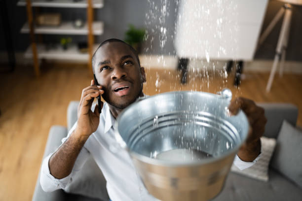 Best Sewage cleanup and water damage restoration  in Wahneta, FL