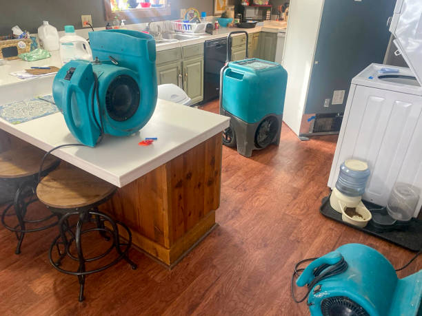 Best Water damage contractors near me  in Wahneta, FL