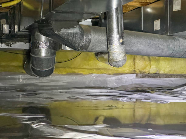 Best Water damage cleanup near me  in Wahneta, FL