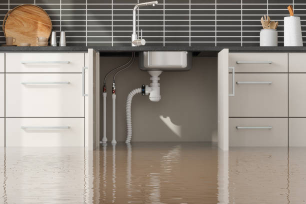 Best Emergency water damage restoration  in Wahneta, FL