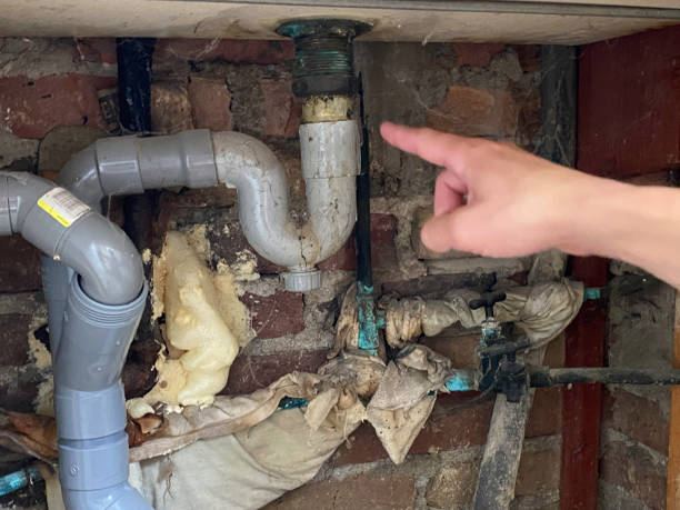 Best Emergency water damage restoration  in Wahneta, FL