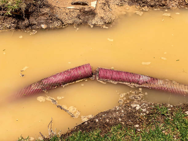 Best Sewage cleanup and water damage restoration  in Wahneta, FL