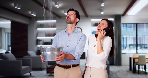  Wahneta, FL Water damage restoration Pros