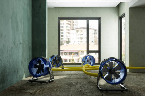 Best Residential water damage restoration  in Wahneta, FL